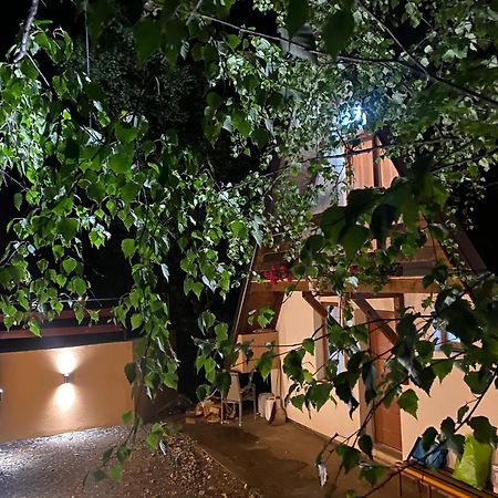 Vikendica Stojanovic Villa Mionica Eksteriør bilde